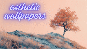 Aesthetic: Cthjqhfmsqe= Wallpaper: Transforming Your Space With Beauty And Style